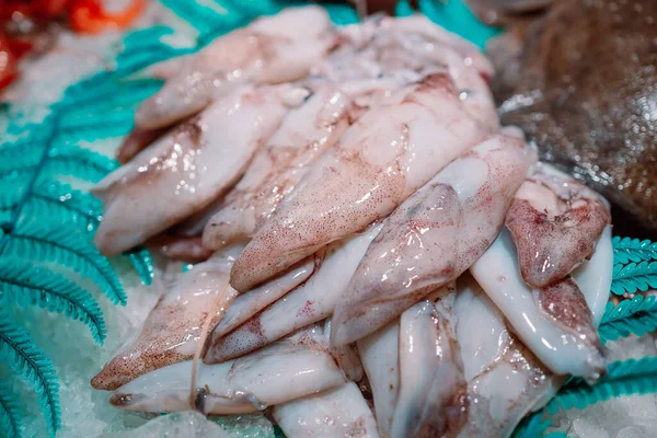 Calamari Catturati Dai Pescatori Vengono Venduti Direttamente All Asta Prima — Foto Stock