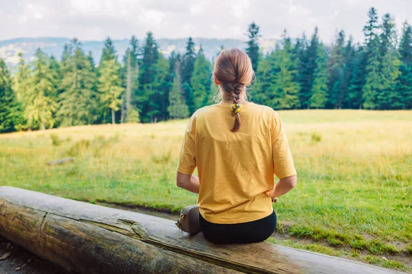 Dağlarda tatil tatili için açık hava aktivitesi. Ormanda oturan ve manzaraya hayran olan bir kadın. Vadi ve gökyüzü ile arka planda güzel bir doğa parkı. Yüksek kalite fotoğraf