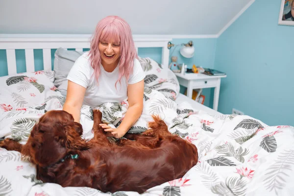 年轻迷人的女人坐在卧室的床边 和爱尔兰赛特犬玩耍 一个穿着淡粉色睡衣 头戴狗的金发年轻女子坐在明亮卧室的床上的画像 — 图库照片