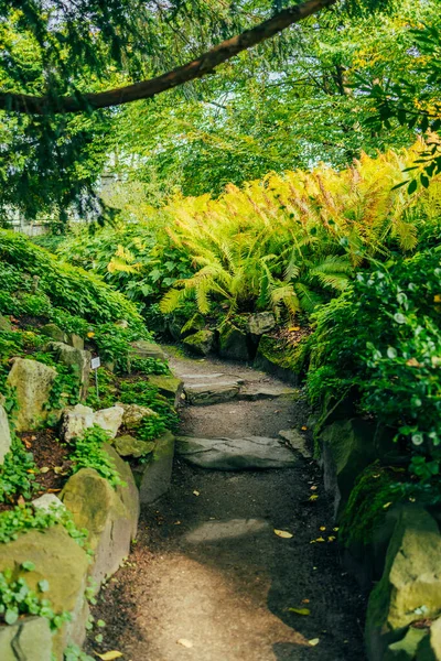 Пышный Зеленый Ботанический Сад Цветущие Весенние Цветы Газонная Дорожка Высокое — стоковое фото