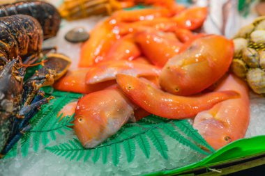 Taze soğumuş balık ve fileto deniz ürünleri süpermarketinde buzun üzerinde. Farklı balık türleri ve deniz ürünleri. Yüksek kalite fotoğraf