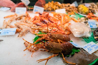 Buzlu taze ıstakoz. İspanya 'da sokak yemekleri dikenli ıstakozlar yakın plan. Sokak balığı pazarında soğuk sergilenen deniz ürünleri. Seçici odaklanma. Yüksek kalite fotoğraf
