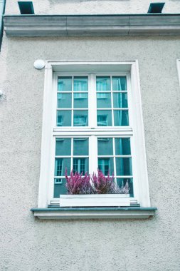 Çiçek saksısı ve mor çiçekleri olan beyaz bir aile evinin beyaz pencere çerçevesi. Yüksek kalite fotoğraf