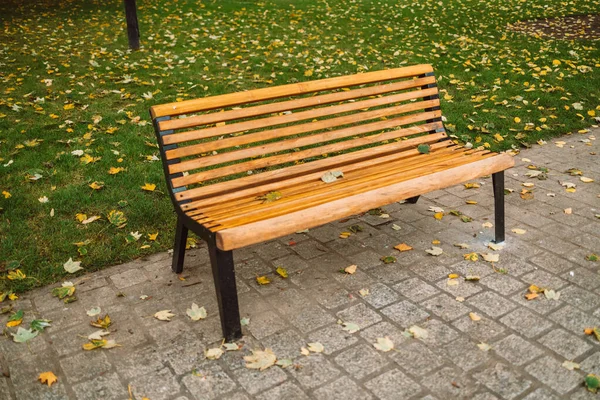 Einsame Holzbank Herbstlichen Stadtpark Danzig Polen Hochwertiges Foto — Stockfoto