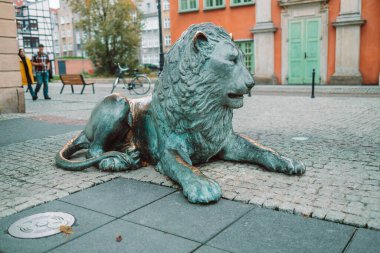 Gdansk, Polonya - 11 Kasım 2022: Eski Gdansk kasabasındaki bronz aslan heykelleri şehir sembolü olarak, Gdansk Poland
