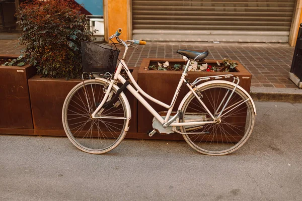 老式自行车在古旧的乡村房子前面 满地都是花 在欧洲比萨 美丽的城市景观 一辆旧自行车停在石墙边 抽屉里插着鲜花 复古风格 — 图库照片