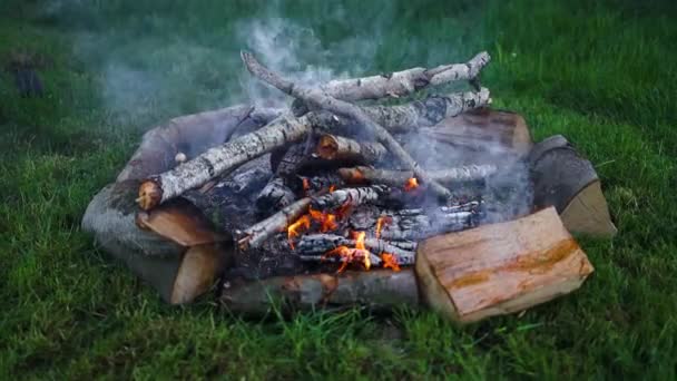 Gyönyörű Tábortűz Esténként Erdőben Tűz Alkonyatkor Kemping Közelében Folyó Gyönyörű — Stock videók