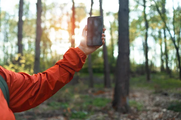 Νεαρή Γυναίκα Χέρι Σήμα Σύλληψης Smartphone Ξύλινο Δάσος Οδικό Ταξίδι — Φωτογραφία Αρχείου