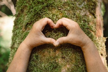 Ağacın üzerinde kalbi yosun tutmuş, doğayı seviyor. Ormanda bir ağaç gövdesine dokunuyorum. Yüksek kalite fotoğraf