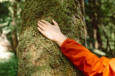 Kadının eli ağacın gövdesine yakın çekimde. Ağaç kabuğu. Çevreye önem vermek. Ekoloji, dünyayı kurtarma ve doğayı insan tarafından sevme kavramı. Yüksek kalite fotoğraf
