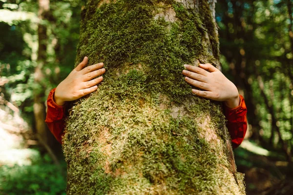 Szoros Kéz Ölelkező Erdőben Természetvédelem Környezetvédelem Vad Természet Vad Élet — Stock Fotó