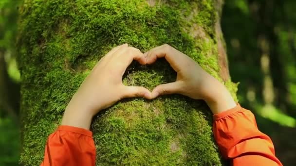 Serce Drzewie Mchem Kochający Naturę Ręka Dotyka Pnia Drzewa Lesie — Wideo stockowe