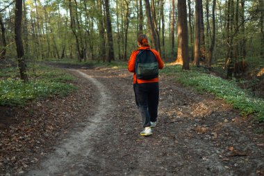 Güneşli bir günde bahar yeşili bir ormanda sırt çantasıyla gezen bir kadın. Yüksek kalite fotoğraf