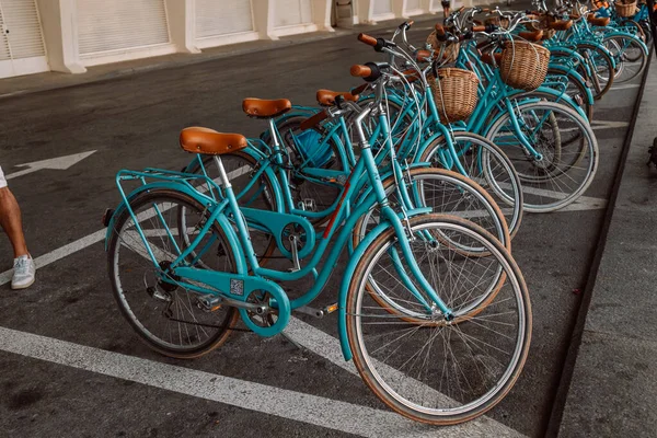 一排排的自行车出租 高质量的照片 — 图库照片