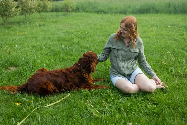 Güzel sarışın, gülümseyen, kot şortlu, mutlu bir kadın camda oturuyor ve yaz parkında günbatımı ışınları tarlasında kızıl, uzun saçlı, sevimli bir köpeği eğitiyor. Evcil hayvan ve hostes