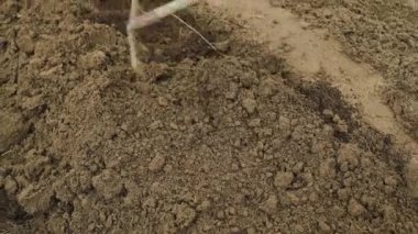 Büyük bir bahçe tırmığıyla arazi ekimi. Bahar temizliği. Çiftçi büyümeden önce toprak sağlığını kontrol ediyor. Bir bitki tohumu veya bitki tohumu. İş ya da ekoloji kavramı. 