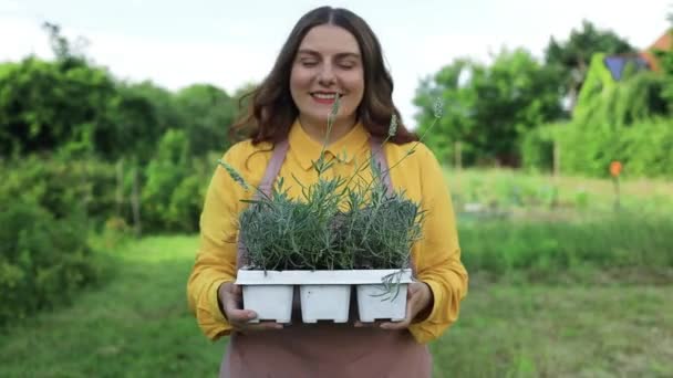 Agricultor Mulher Feliz Segurando Caixa Plástico Com Ervas Flor Lavanda — Vídeo de Stock