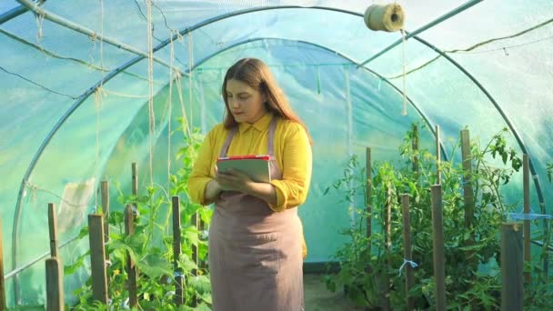 Жінка Фермер Збирає Дані Сучасним Пристроєм Зеленій Плантації Посміхаючись Зосереджений — стокове відео