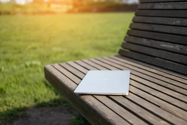 Laptop and nature. Laptop on a wooden table surrounded by forest. Close-up. High quality photo
