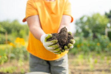 Bitki veya bitki tohumu yetiştirmeden önce toprak sağlığını kontrol eden bir çiftçi eli. Bahçıvanlık teknik, tarım konsepti. Yüksek kalite fotoğraf