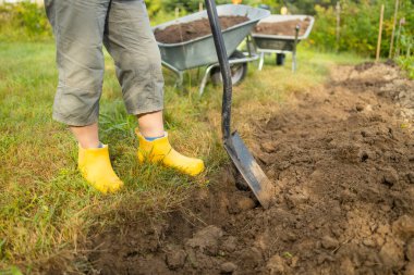 İşçi, sebze bahçesinde kürekle kara toprağı kazıyor. Kadın çiftçi, tarım ve tarım alanlarını kirletiyor. 