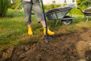 İşçi, sebze bahçesinde kürekle kara toprağı kazıyor. Kadın çiftçi, tarım ve tarım alanlarını kirletiyor. 