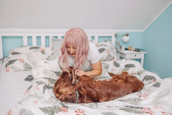 Beautiful pink hair girl lying relax in bed with her Irish Setter dog. Morning prodding in a warm comfortable bed.Cute woman and her dog are sleeping in the bed covered with a blanket. Friendship