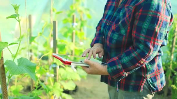 Mujer Agricultora Recogiendo Datos Con Dispositivo Moderno Plantación Verde Sonriendo — Vídeo de stock