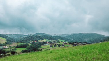 Dağ Vadisi manzara manzarası. Yüksek kalite fotoğraf
