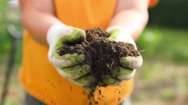 Dişi eller sahada toprağa dokunuyor. Bitki veya bitki tohumu yetiştirmeden önce toprak sağlığını kontrol eden bir çiftçi eli. İş ya da ekoloji konsepti. Yüksek kalite fotoğraf