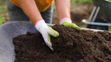 Genç bitkilerle dolu bol toprakları tutan kişinin eli. Organik çiftliğe ekmeden önce toprak sağlığını kontrol eden bir çiftçi. Yeşil Dünya Günü 'nü düşün. Yüksek kalite fotoğraf