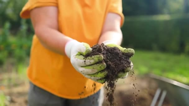 用幼树保持丰满土壤的人的手 农民在有机农场耕作前必须检查土壤肥力 概念绿色世界地球日 高质量的照片 — 图库视频影像