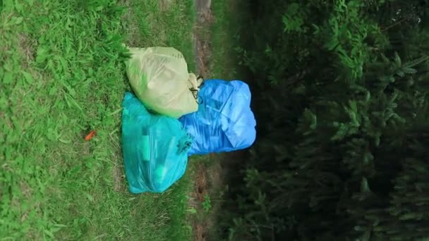 Basura Grandes Bolsas Plástico Negro Naturaleza Bosque Río Limpieza Primavera — Vídeos de Stock