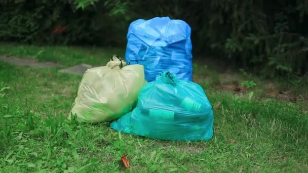 Spazzatura Grandi Sacchetti Plastica Nera Natura Foresta Fiume Pulizia Primaverile — Video Stock