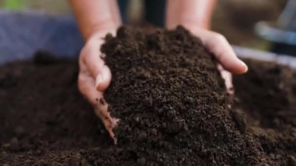 Samičí Ruce Dotýkají Půdy Hřišti Odborná Ruka Zemědělce Který Před — Stock video