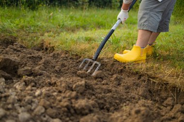 Bahçede el aletleriyle toprak yetiştiren çiftçi. Toprak gevşiyor. Bahçe işleri konsepti. Çiftlikte tarım işindeyim. Yüksek kalite fotoğraf