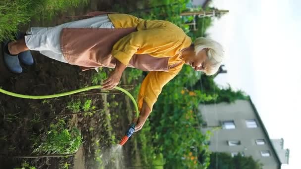 Woman Gardener Farm Worker Holding Water Hose Watering Irrigating Plant — Stock Video