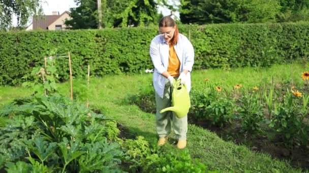 Kertészeti Mezőgazdasági Koncepció Női Kertész Mezőgazdasági Dolgozó Kezében Öntözőkanna Öntözőnövény — Stock videók