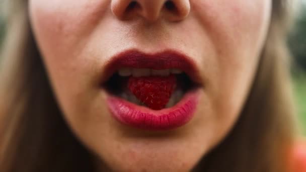 Perfekte Rote Weibliche Lippen Nahaufnahme Von Rosa Weiblichen Lippen Mit — Stockvideo