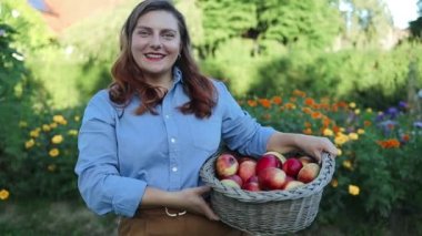 Meyve bahçesinde elma hasadı. Bahçede kameraya bakarak yürürken elmalı bir sepet ören genç bir kadın çiftçi. Organik bir bahçede elma topluyorum.. 