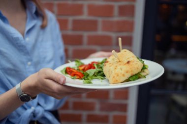 Kadın elleri taze sandviç, tavuk ve sebze tabağı tutuyor. Yüksek kalite fotoğraf