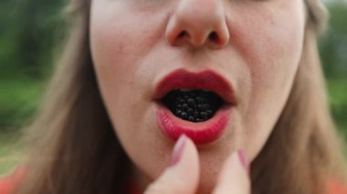 Kafkasyalı kadın Blackberry 'i ağzına sokuyor. Kırmızı rujlu mor dudaklar böğürtlen yiyor. Böğürtlen yiyen. Makro fotoğraf. Yüksek kaliteli FullHD görüntüler