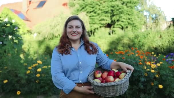 Ların Kadın Çiftçisi Elma Bahçesinde Elma Ağacından Organik Elma Topluyor — Stok video
