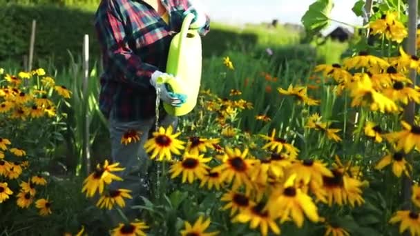 Snygg Medelålders Kaukasisk Kvinna Vattna Blommor Från Grön Plast Vattning — Stockvideo
