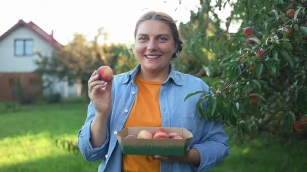 年轻的女农民在花园里的树上采摘桃子 农业概念 优质Fullhd影片 — 图库视频影像