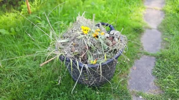 用塑料桶或一桶枯草浇灌花园 优质Fullhd影片 — 图库视频影像