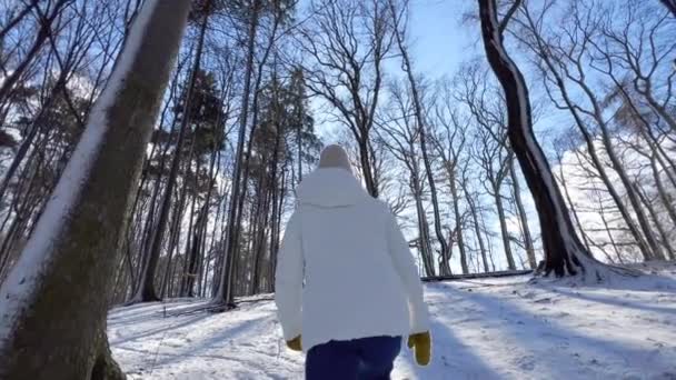 暖かい帽子で50代の上級女性を笑顔にし 木や雪の漂流の背景のカメラを見ています 雪だるま市立公園でポーズする幸せな女性のクローズアップヘッドショット 高品質のフルHd映像 — ストック動画
