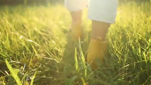 黄色いブーツの農民の足の近くで 日没時に小麦の緑の畑を歩いています ビジネス農業コンセプト 高品質のフルHd映像 — ストック動画