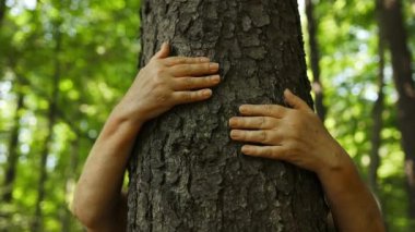 Ormanda ağaca sarılan bir kadının elleri. Ormanların tahrip edilmesinden veya iklim değişikliğinden korunma, ağaçlara sarılan insanlar.