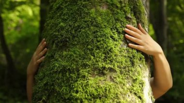 Kafkasyalı bir kadının açık havada yeşil bir ağaca sarılmasıyla ekoloji ve çevre kavramı 
